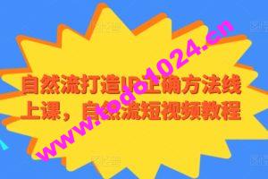 自然流打造IP正确方法线上课，自然流短视频教程