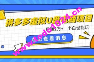 拼多多虚拟U盘电商红利项目：月赚2万+，新手小白也能玩