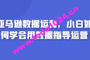 亚马逊数据运营，小白如何学会用数据指导运营