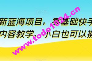 全新蓝海项目，零基础快手付费内容教学，小白也可以操作【揭秘】