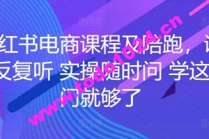 小红书电商课程及陪跑，课程反复听 实操随时问 学这一门就够了