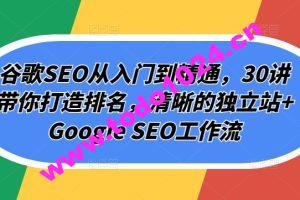 谷歌SEO从入门到精通，30讲带你打造排名，清晰的独立站+Google SEO工作流