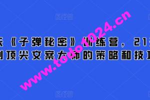 21天《子弹秘密》训练营，21天学到顶尖文案大师的策略和技巧