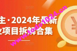 黄岛主·2024年最新副业项目拆解合集【无水印】