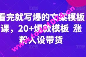 看完就写爆的文案模板课，20+爆款模板  涨粉人设带货