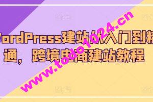 WordPress建站从入门到精通，跨境电商建站教程