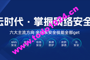 自然流·短视频IP孵化手，14天百万爆款了训练营，带你迈出“月入5w新职业”第一步