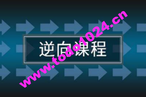 任鸟飞2021游戏安全逆向在线班课程