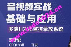 C++音视频实战-FFmpeg基础到工程-多路H265监控录放开发