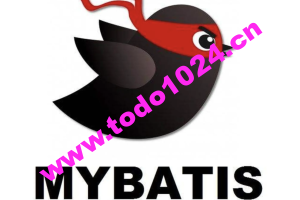 MyBatis