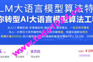 LLM大语言模型算法特训 带你转型AI大语言模型算法工程师