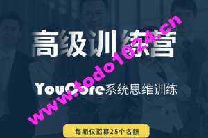 YouCore系统思维高级训练