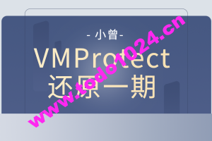 小曾VMProtect还原一期