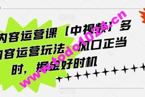 海外内容运营课【中视频】多种内容运营玩法，风口正当时，掘金好时机