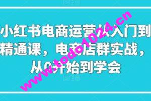 小红书电商运营从入门到精通课，电商店群实战，从0开始到学会