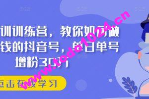 抖音实训训练营，教你如何做一个赚钱的抖音号，单日单号增粉30万