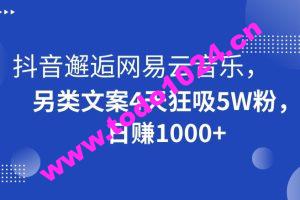 抖音邂逅网易云音乐，另类文案4天狂吸5W粉，日赚1000+【揭秘】