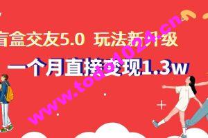 盲盒交友5.0，玩法全新升级，一个月直接变现1.3W，新手小白轻松上手【揭秘】