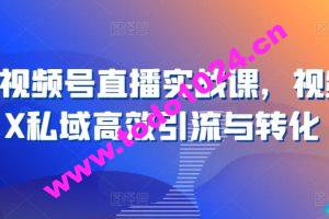 21天视频号直播实战课，视频号X私域高效引流与转化