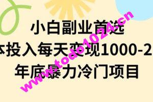 小白副业首选，0成本投入，每天变现1000-2000年底暴力冷门项目【揭秘】