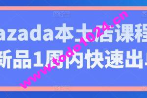 Lazada本土店课程，新品1周内快速出单