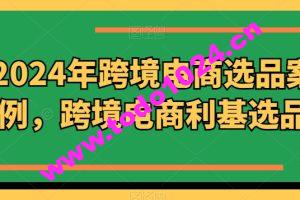 2024年跨境电商选品案例，跨境电商利基选品