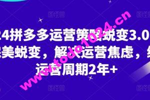 2024拼多多运营策略蜕变3.0，0-1完美蜕变，解决运营焦虑，缩短运营周期2年+