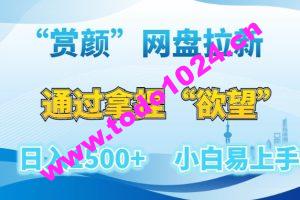 “赏颜”网盘拉新赛道，通过拿捏“欲望”日入1500+，小白易上手【揭秘】