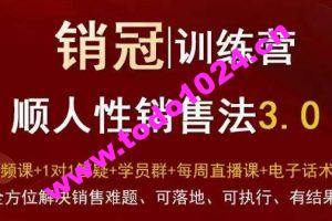 爆款！销冠训练营3.0之顺人性销售法，全方位解决销售难题、可落地、可执行、有结果