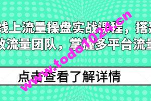 2024线上流量操盘实战课程，搭建高人效流量团队，掌握多平台流量