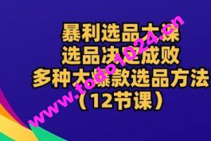 暴利选品大课：选品决定成败，教你多种大爆款选品方法(12节课)