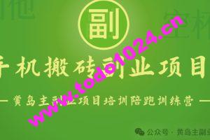 手机搬砖小副业项目训练营1.0，实测1小时收益50+，一部手机轻松日入100+