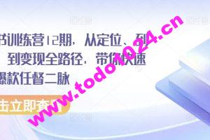 小红书训练营12期，从定位、到起号、到变现全路径，带你快速打通爆款任督二脉