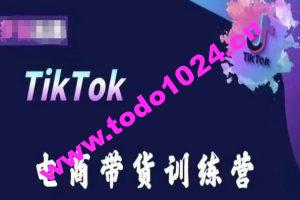 TikTok电商带货训练营，跟随时代潮流，跨境掘金