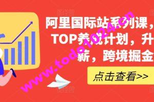 阿里国际站系列课，运营TOP养成计划，升职加薪，跨境掘金