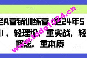 老A营销训练营(更24年5月)，轻理论，重实战，轻概念，重本质