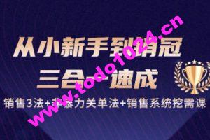 从小新手到销冠 三合一速成：销售3法+非暴力关单法+销售系统挖需课 (27节)