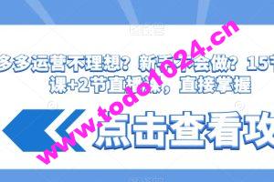 拼多多运营不理想？新手不会做？​15节系列课+2节直播课，直接掌握
