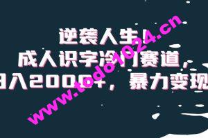 逆袭人生！成人识字冷门赛道，日入2000+，暴力变现！【揭秘】