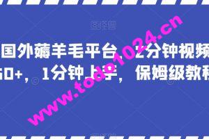 最新国外薅羊毛平台，2分钟视频收益50+，1分钟上手，保姆级教程【揭秘】