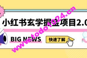 小红书玄学掘金项目，值得常驻的蓝海项目，日入3000+附带引流方法以及渠道【揭秘】