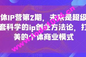 超级个体IP营第2期，未来是超级个体时代，一套科学的ip创业方法论，打造小而美的个体商业模式