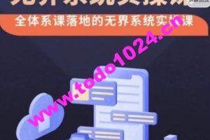 老衲·无界系统实操课，全体系落地无界改版后选择、出价、高投产做付费引流