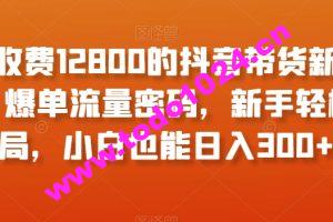 外面收费12800的抖音带货新奇玩法，爆单流量密码，新手轻松入局，小白也能日入300+【揭秘】