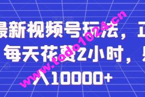 全网最新视频号玩法，正能量赛道，每天花费2小时，躺着月入10000+【揭秘】