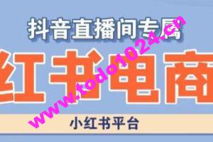 小红书电商高级运营课程，实操教学+案例分析