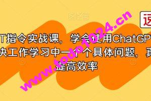 GPT指令实战课，学会使用ChatGPT，解决工作学习中一个个具体问题，真正提高效率