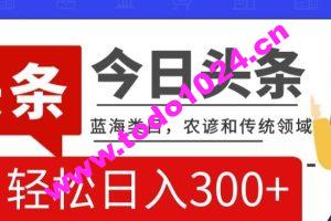 AI头条传统和农谚领域，蓝海类目，搬运+AI优化，轻松日入300+【揭秘】