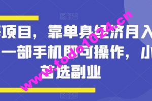 蓝海项目，靠单身经济月入过万，一部手机即可操作，小白首选副业【揭秘】