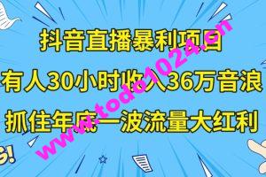 抖音直播暴利项目，有人30小时收入36万音浪，公司宣传片年会视频制作，抓住年底一波流量大红利【揭秘】